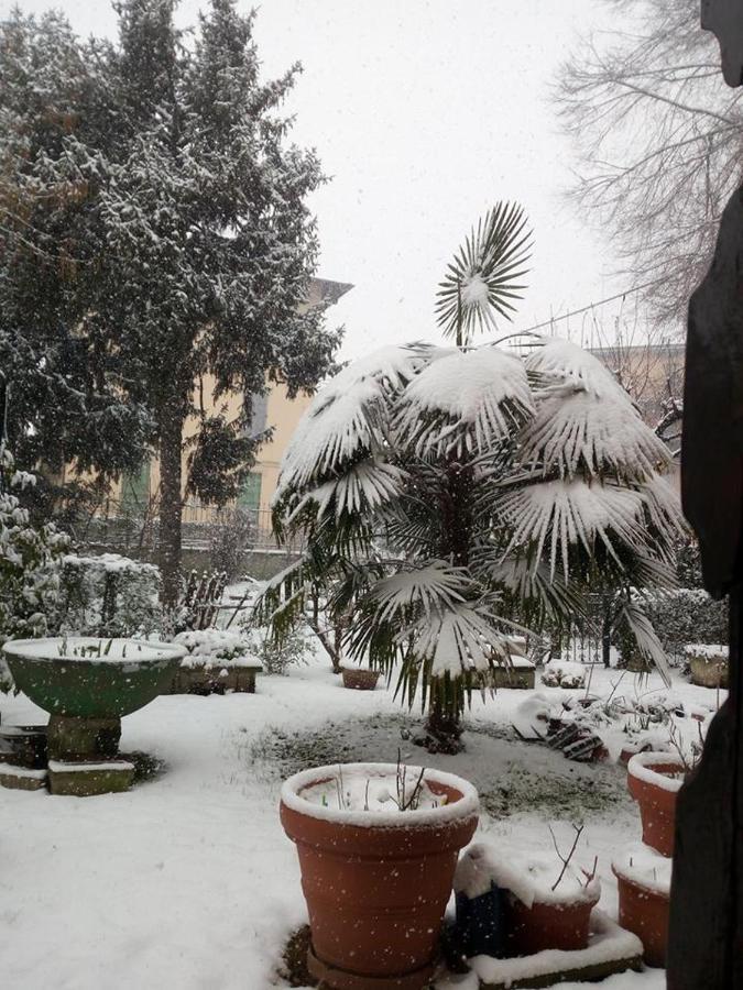 B&B Delle Arti 克雷马 外观 照片